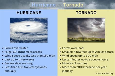 cyclone twister dan word